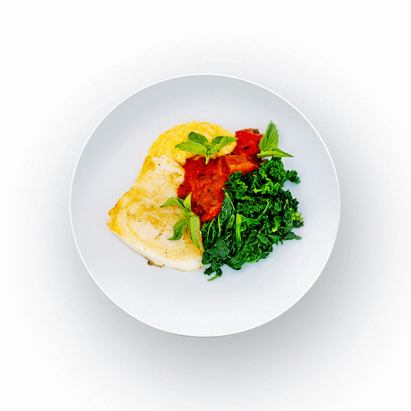 Mediterranean Sea Bass